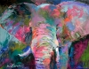 Elephant Portrait