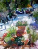Boulder Tea Garden