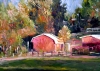 Arvada Horse Barn